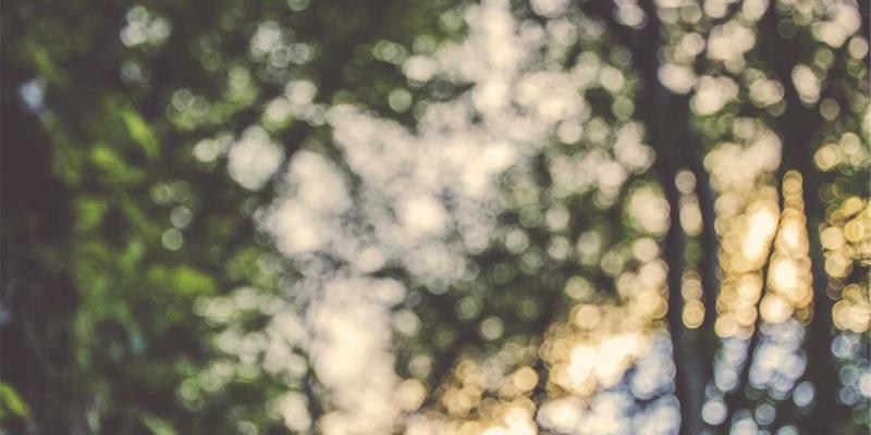 Network Technology 72：资源协同与智能运维驱动的下一代网络架构