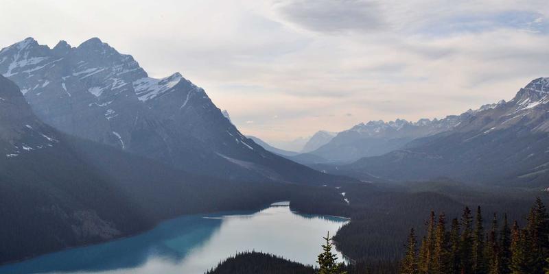 意图驱动网络（IDN）：实现智能资源分享与自动化系统管理的下一代网络技术