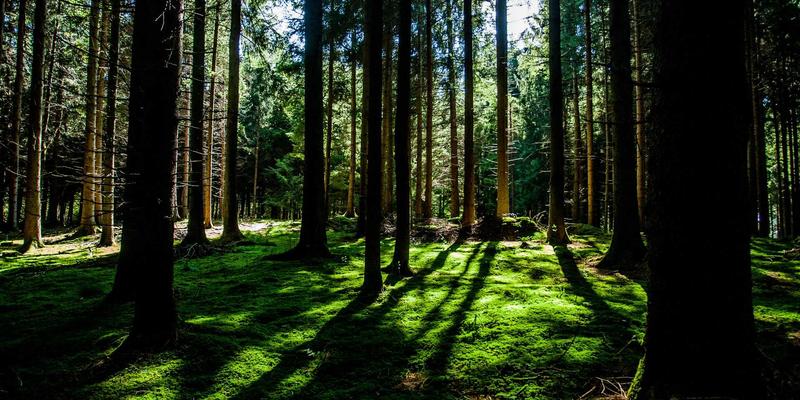 未来科技系统管理指南：物联网设备网络协议选择与资源共享安全挑战