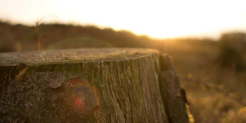 网络即代码（NaC）：自动化如何重塑系统管理与资源共享的网络安全新范式