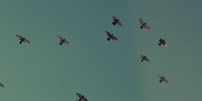 网络技术与资源协同：边缘计算如何重塑低延迟应用的网络安全格局