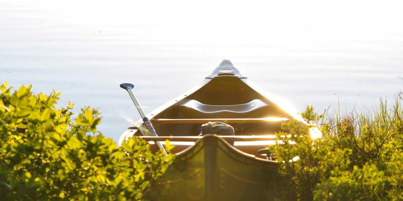 网络技术核心攻略：从资源共享到系统管理与网络安全一体化实践